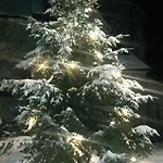 דירה & Golf Zell Am *