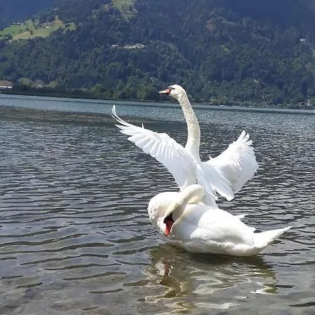 アパート & Golf Zell Am *