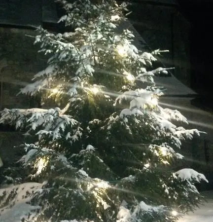 アパート & Golf Zell Am *