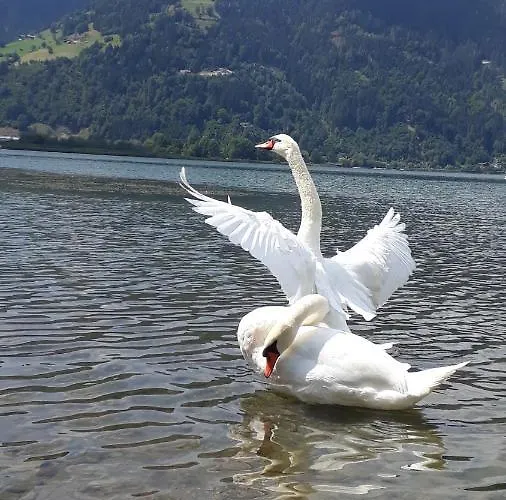 Apartament & Golf Zell Am *