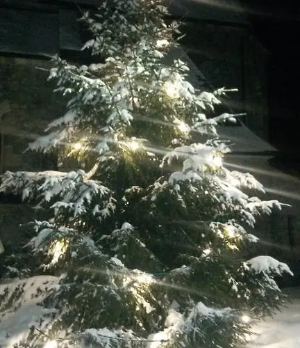 Apartament & Golf Zell Am *